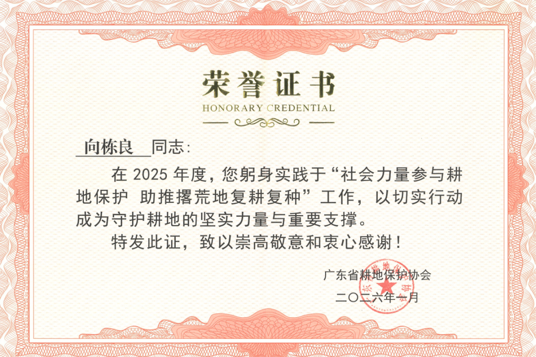 undefined 图片