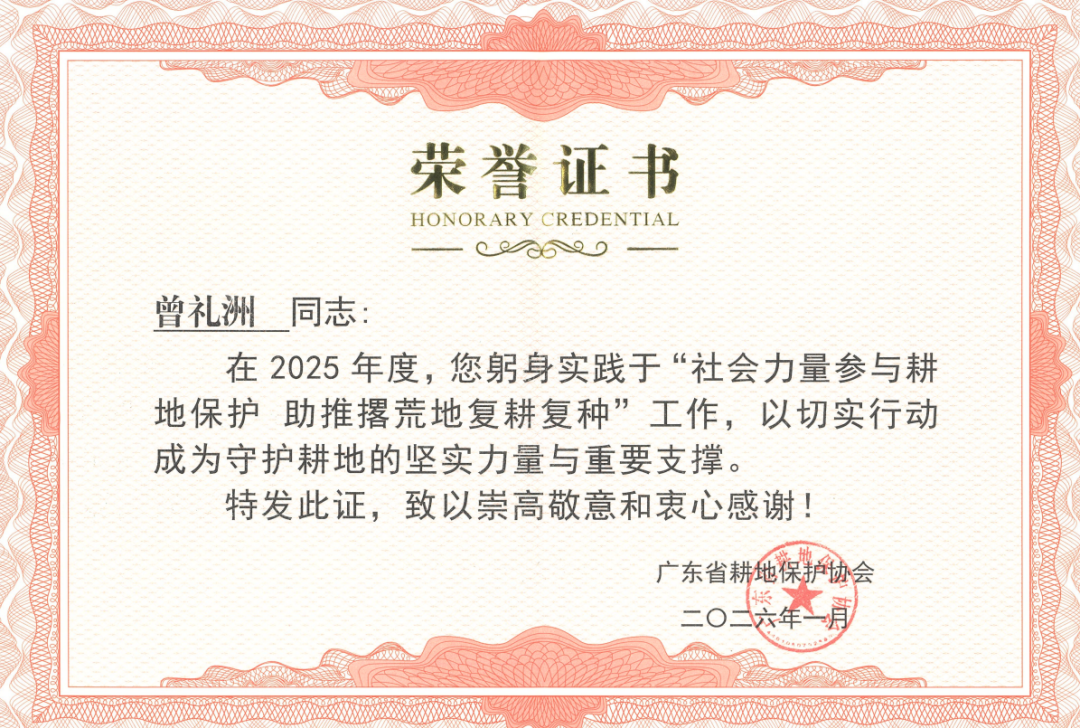undefined 图片